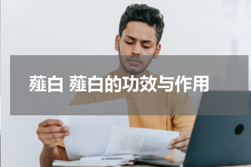 薤白 薤白的功效与作用