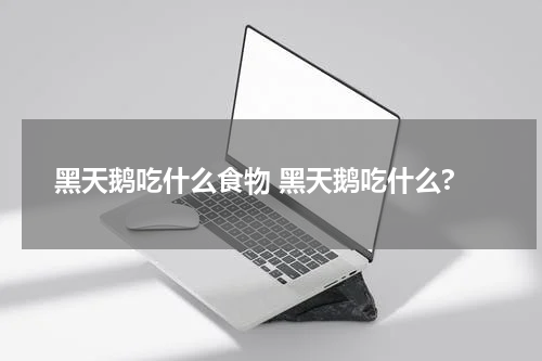 黑天鹅吃什么食物 黑天鹅吃什么?