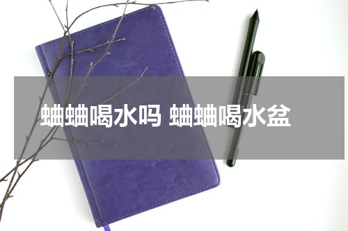 蛐蛐喝水吗 蛐蛐喝水盆