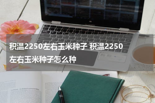 积温2250左右玉米种子 积温2250左右玉米种子怎么种