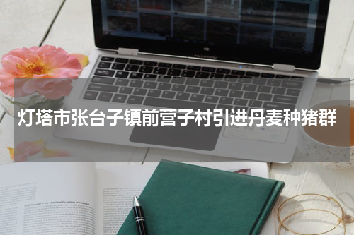灯塔市张台子镇前营子村引进丹麦种猪群