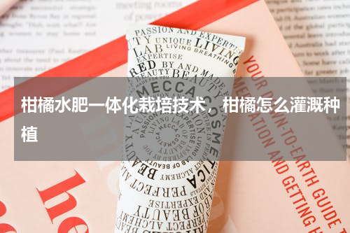 柑橘水肥一体化栽培技术，柑橘怎么灌溉种植