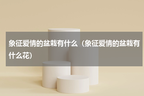 象征爱情的盆栽有什么（象征爱情的盆栽有什么花）