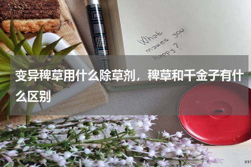 变异稗草用什么除草剂，稗草和千金子有什么区别