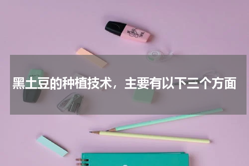 黑土豆的种植技术，主要有以下三个方面