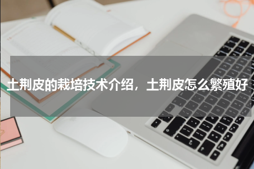 土荆皮的栽培技术介绍，土荆皮怎么繁殖好