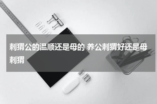 刺猬公的温顺还是母的 养公刺猬好还是母刺猬