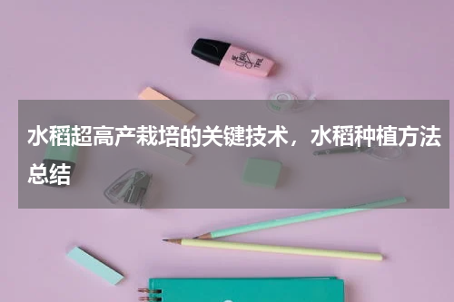 水稻超高产栽培的关键技术，水稻种植方法总结