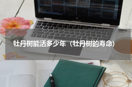 牡丹树能活多少年（牡丹树的寿命）