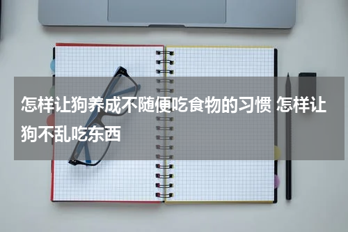 怎样让狗养成不随便吃食物的习惯 怎样让狗不乱吃东西