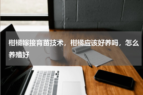 柑橘嫁接育苗技术，柑橘应该好养吗，怎么养殖好