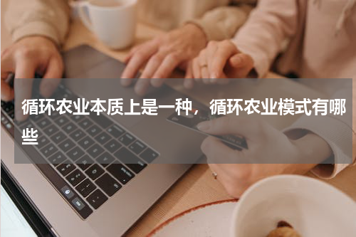 循环农业本质上是一种，循环农业模式有哪些