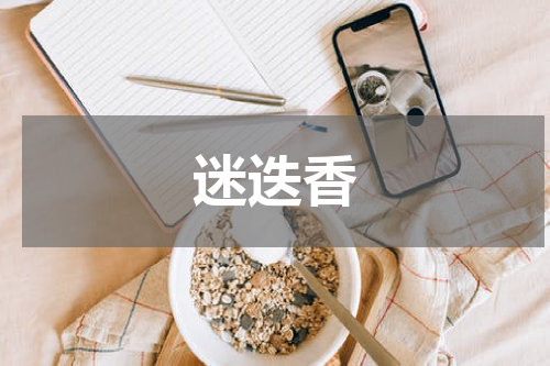迷迭香