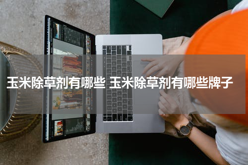 玉米除草剂有哪些 玉米除草剂有哪些牌子