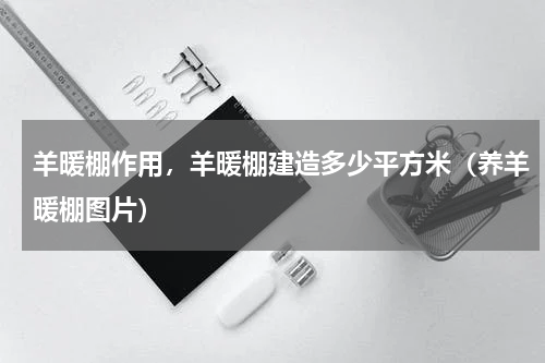 羊暖棚作用，羊暖棚建造多少平方米（养羊暖棚图片）