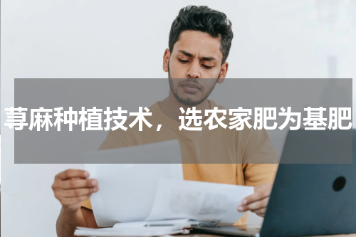 荨麻种植技术，选农家肥为基肥