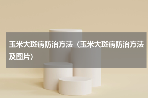 玉米大斑病防治方法（玉米大斑病防治方法及图片）