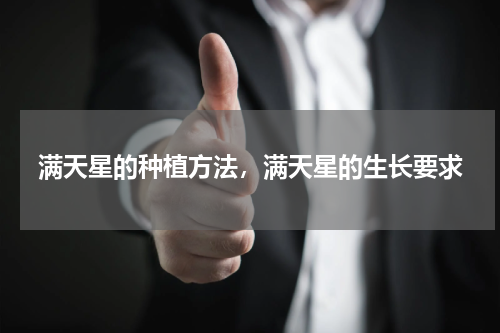 满天星的种植方法，满天星的生长要求