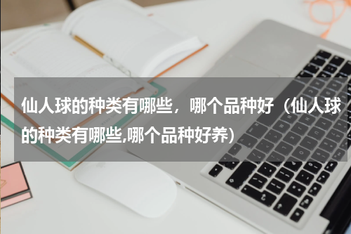 仙人球的种类有哪些，哪个品种好（仙人球的种类有哪些,哪个品种好养）