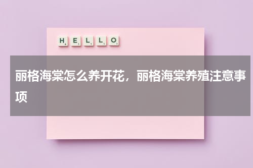 丽格海棠怎么养开花，丽格海棠养殖注意事项