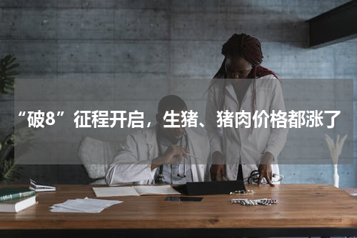 “破8”征程开启，生猪、猪肉价格都涨了
