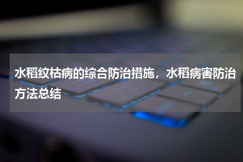 水稻纹枯病的综合防治措施，水稻病害防治方法总结