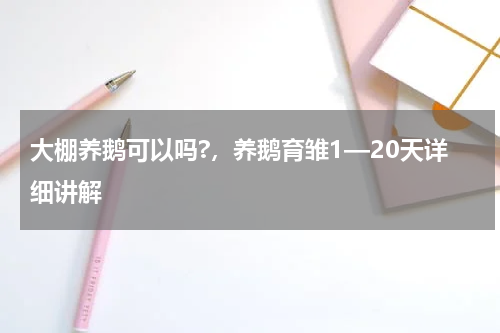 大棚养鹅可以吗?，养鹅育雏1—20天详细讲解