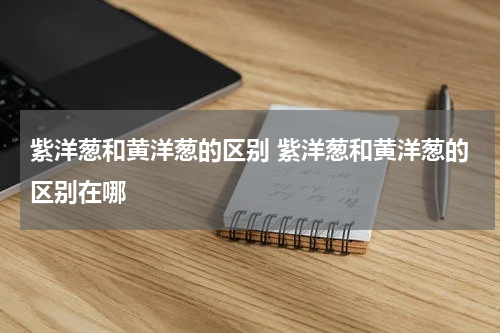 紫洋葱和黄洋葱的区别 紫洋葱和黄洋葱的区别在哪