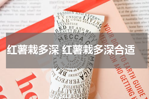 红薯栽多深 红薯栽多深合适