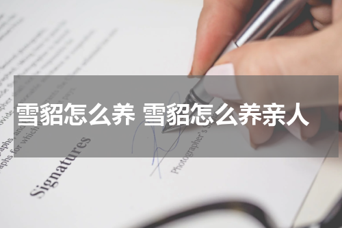 雪貂怎么养 雪貂怎么养亲人