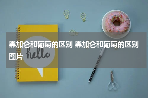 黑加仑和葡萄的区别 黑加仑和葡萄的区别图片