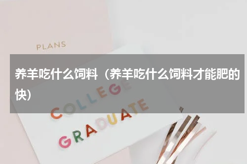 养羊吃什么饲料（养羊吃什么饲料才能肥的快）
