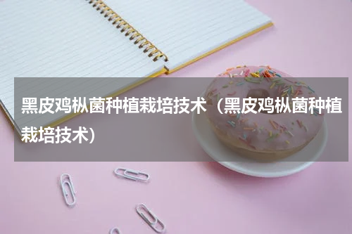 黑皮鸡枞菌种植栽培技术（黑皮鸡枞菌种植栽培技术）