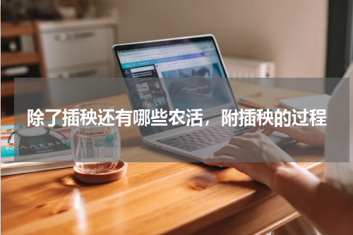 除了插秧还有哪些农活，附插秧的过程