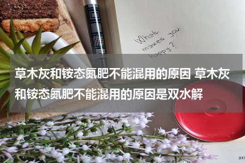 草木灰和铵态氮肥不能混用的原因 草木灰和铵态氮肥不能混用的原因是双水解