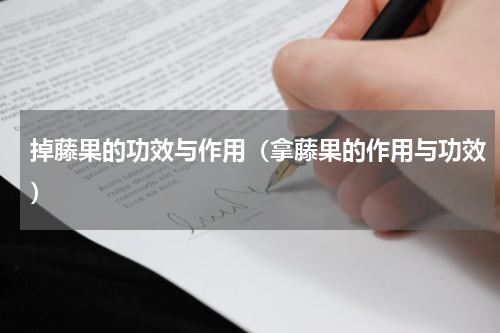 掉藤果的功效与作用（拿藤果的作用与功效）