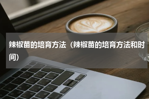 辣椒苗的培育方法（辣椒苗的培育方法和时间）