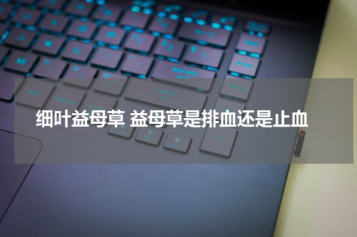 细叶益母草 益母草是排血还是止血