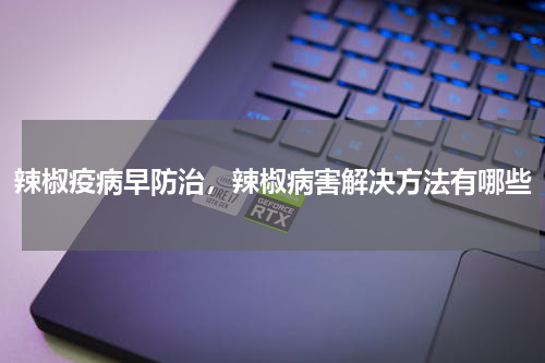 辣椒疫病早防治，辣椒病害解决方法有哪些