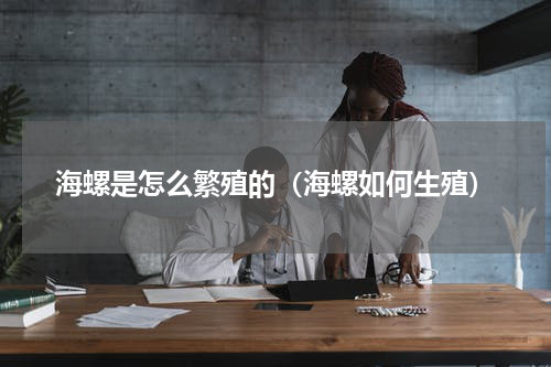 海螺是怎么繁殖的（海螺如何生殖）