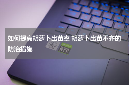 如何提高胡萝卜出苗率 胡萝卜出苗不齐的防治措施