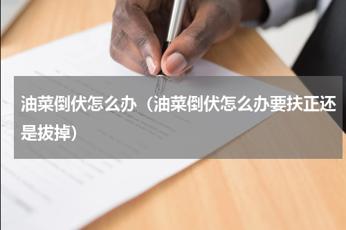 油菜倒伏怎么办（油菜倒伏怎么办要扶正还是拔掉）