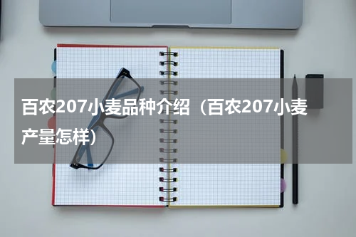 百农207小麦品种介绍（百农207小麦产量怎样）