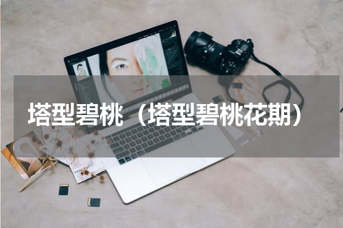 塔型碧桃（塔型碧桃花期）