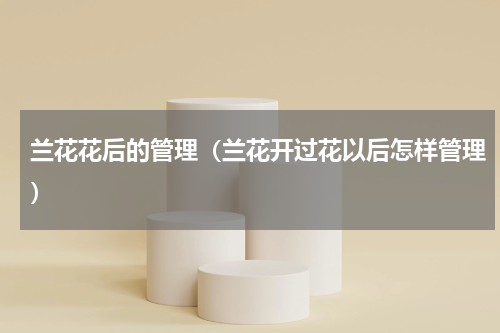 兰花花后的管理（兰花开过花以后怎样管理）