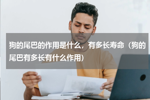 狗的尾巴的作用是什么，有多长寿命（狗的尾巴有多长有什么作用）