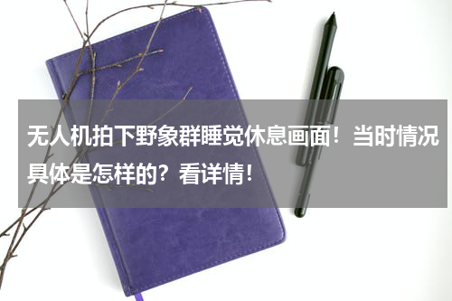 无人机拍下野象群睡觉休息画面！当时情况具体是怎样的？看详情！