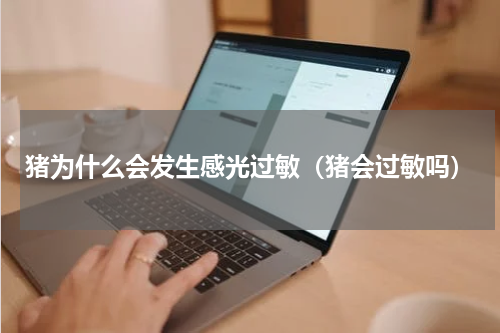 猪为什么会发生感光过敏（猪会过敏吗）