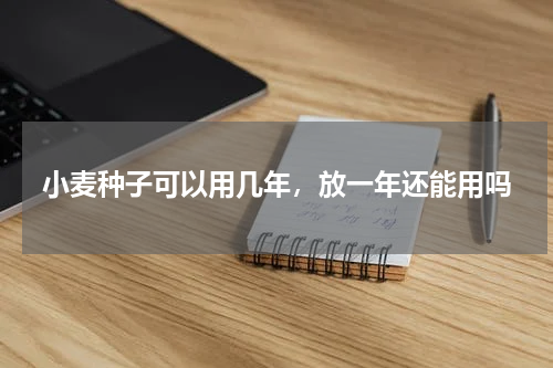 小麦种子可以用几年，放一年还能用吗