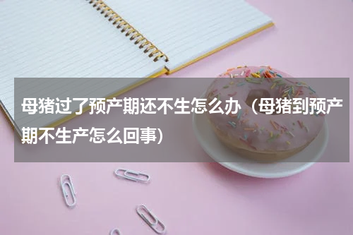 母猪过了预产期还不生怎么办（母猪到预产期不生产怎么回事）